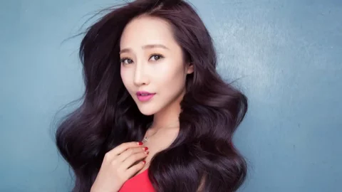 退役军犬领养事件