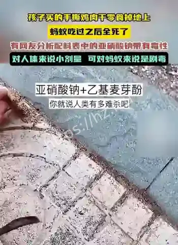 蚂蚁吃零食全死了